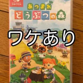 送料込 最安値ソフト付き Nintendo Switch あつまれどうぶつの森 セット 21正規激安 Localhost