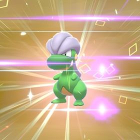 ポケモン剣盾 ポケットモンスターソード シールド オシャボ アカウント販売 Rmt アカウント売買 一括比較 プライスランク