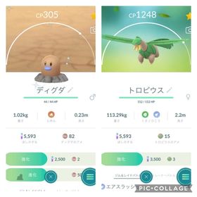 ポケgo ポケモンgo バリヤード アカウント販売 Rmt 17件を横断比較 アカウント売買 一括比較 プライスランク