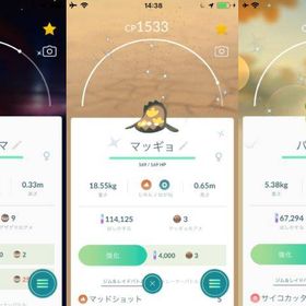 ポケgo ポケモンgo パッチール アカウント販売 Rmt 30件を横断比較 アカウント売買 一括比較 プライスランク