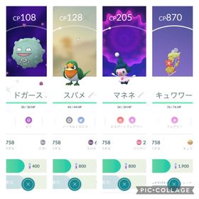 ポケgo ポケモンgo キュワワー アカウント販売 Rmt 46件を横断比較 アカウント売買 一括比較 プライスランク