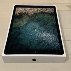 iPad Pro 12.9 訳あり・ジャンク 23,500円 | ネット最安値の価格比較 