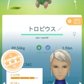 ポケgo ポケモンgo トロピウス アカウント販売 Rmt 12件を横断比較 アカウント売買 一括比較 プライスランク