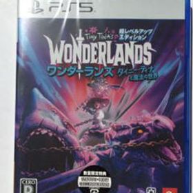 ワンダーランズ ～タイニー・ティナと魔法の世界 PS5 新品 7,180円 