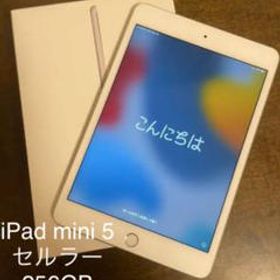 iPad mini 2019 (第5世代) 256GB SIMフリー 中古 44,000円 | ネット最 
