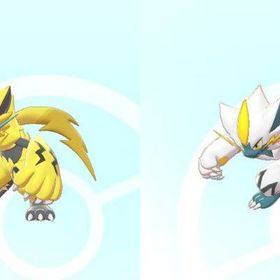 ポケットモンスター ソード シールド 全国図鑑完成 色違い全種 ゼラオラ