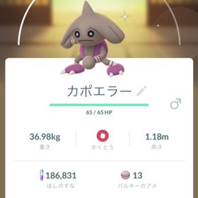 ポケgo ポケモンgo カポエラー アカウント販売 Rmt 21件を横断比較 アカウント売買 一括比較 プライスランク