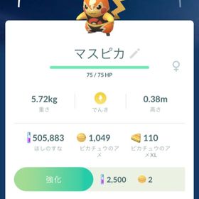 ポケgo ポケモンgo マスクドピカチュウ アカウント販売 Rmt 件を横断比較 アカウント売買 一括比較 プライスランク