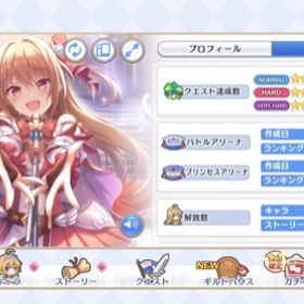 プリコネr ぷりこねr プリンセスコネクト Re Dive ルナ アカウント販売 Rmt アカウント売買 一括比較 プライスランク