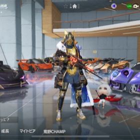 荒野行動 光輪 アカウント販売 Rmt 13件を横断比較 アカウント売買 一括比較 プライスランク