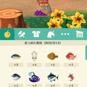 ポケ森 どうぶつの森ポケットキャンプ アカウント販売 Rmt 横断比較 Price Sale