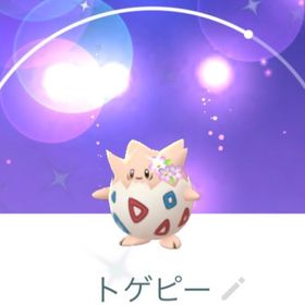 ポケ垢様専用 Ipnetbandalarga Com Br