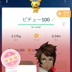 ポケgo ポケモンgo ピチュー アカウント販売 Rmt 28件を横断比較 アカウント売買 一括比較 プライスランク