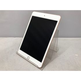 iPad mini 2019 (第5世代) Docomo 中古 31,660円 | ネット最安値の価格 