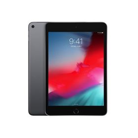 iPad mini 2019 (第5世代) 256GB 中古 35,178円 | ネット最安値の価格 