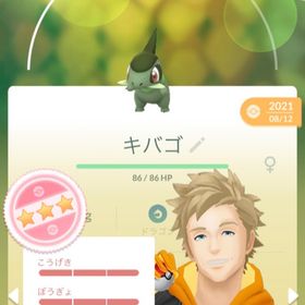 ポケgo ポケモンgo キバゴ アカウント販売 Rmt 38件を横断比較 アカウント売買 一括比較 プライスランク