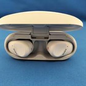 ワイヤレスイヤホン WF-SP800N SONY