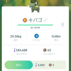 ポケgo ポケモンgo ルカリオ アカウント販売 Rmt 10件を横断比較 アカウント売買 一括比較 プライスランク