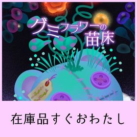 新作・現行・廃盤：フルセット | リヴリーアイランドのアカウントデータ、RMTの販売・買取一覧