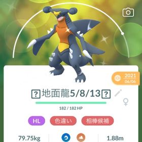 ポケgo ポケモンgo ガブリアス アカウント販売 Rmt 32件を横断比較 アカウント売買 一括比較 プライスランク