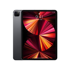 ペースグレ iPad iPad Pro 11 wifi 64GB MTXN2J/A 極上品の通販 by