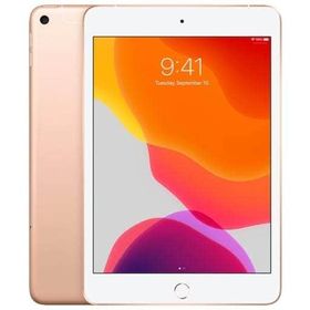 iPad mini 2019 (第5世代) ゴールド 中古 35,200円 | ネット最安値の 