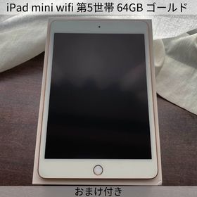 iPad mini 2019 (第5世代) 中古 25,000円 | ネット最安値の価格比較 