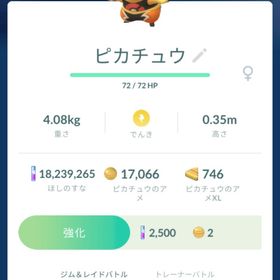 ポケgo ポケモンgo マスクドピカチュウ アカウント販売 Rmt 11件を横断比較 アカウント売買 一括比較 プライスランク