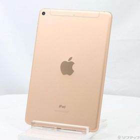 iPad mini 2019 (第5世代) SIMフリー 中古 32,800円 | ネット最安値の 