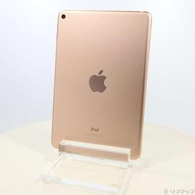 iPad mini 2019 (第5世代) 256GB 新品 57,375円 中古 | ネット最安値の