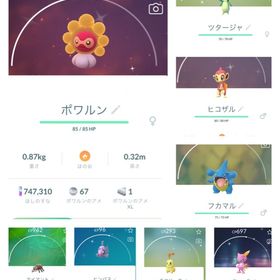 ポケgo ポケモンgo ニューラ アカウント販売 Rmt 9件を横断比較 アカウント売買 一括比較 プライスランク