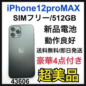 iPhone 12 Pro Max SIMフリー 5GB 新品 134,000円 中古 | ネット最安値 