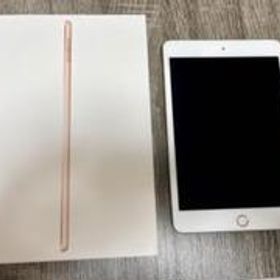 iPad mini 2019 (第5世代) 256GB 新品 62,480円 中古 | ネット最安値の 
