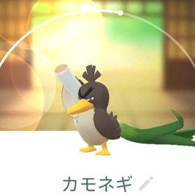 ポケgo ポケモンgo カモネギ アカウント販売 Rmt 10件を横断比較 アカウント売買 一括比較 プライスランク