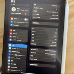 iPad mini 2021 (第6世代) 256GB 新品 96,000円 中古 | ネット最安値の 