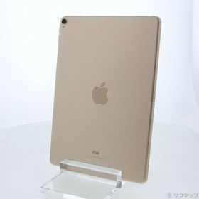 iPad Pro 10.5 256GB 中古 29,000円 | ネット最安値の価格比較 