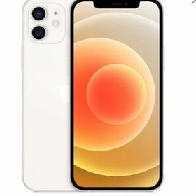 Apple iPhone 12 SIMフリー / 128GB / ブラック 売買相場 | ネット最 