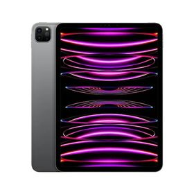 季節のおすすめ商品 Apple iPad Pro 11インチ 256GB スペースグレイ