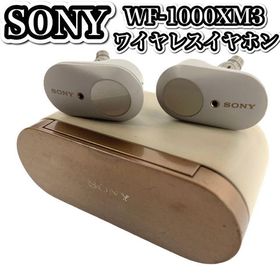 WF-1000XM3 新品 6,917円 中古 5,000円 | ネット最安値の価格比較 