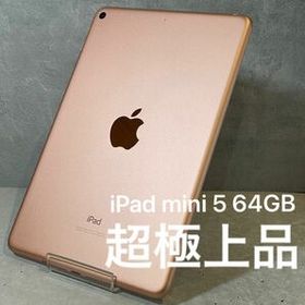 iPad mini 2019 (第5世代) 訳あり・ジャンク 25,900円 | ネット最安値 