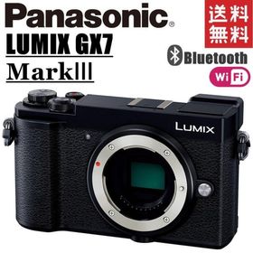 ホワイトブラウン ☆箱、ストラップ、取説付☆ Panasonic Lumix DC