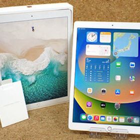 iPad Pro 12.9 第２世代 訳あり・ジャンク 35,000円 | ネット最安値の