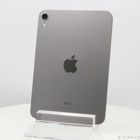 iPad mini 2021 (第6世代) スペースグレー 中古 56,000円 | ネット最