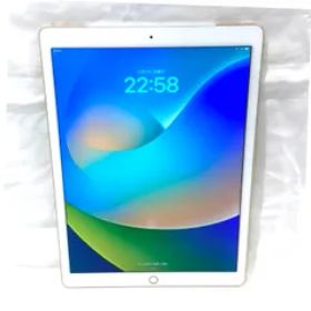 iPad Pro 12.9 訳あり・ジャンク 29,999円 | ネット最安値の価格比較 