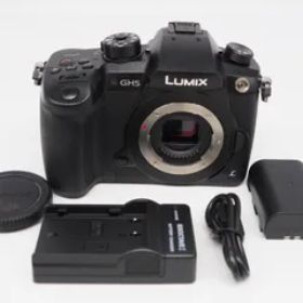 御出産御祝 御祝 出産祝い LUMIX GH5 美品【訳アリ要確認