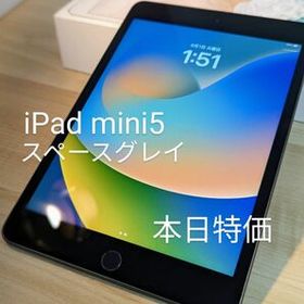 iPad mini 2019 (第5世代) 新品 36,800円 中古 27,500円 | ネット最