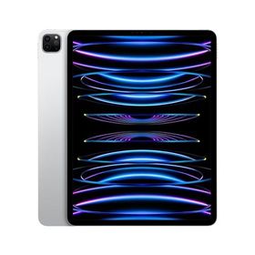 最新コレックション 第5世代 pro 【未使用品】iPad 12.9 256GB wifi