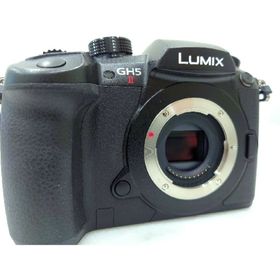 □ショット数3451回□LUMIX DC-GH5 標準ズームレンズキット