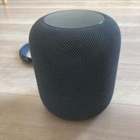 Apple HomePod Space Gray MQHW2J/A A1639