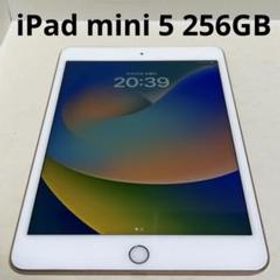 iPad mini 2019 (第5世代) 256GB 新品 78,399円 中古 | ネット最安値の 